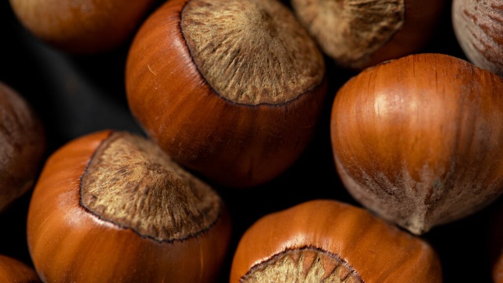 Detailed close-up of organic hazelnuts showcasing their natural texture and color.